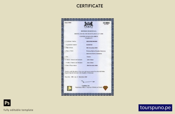 Plantilla de certificado de nacimiento de Botswana lista para imprimir en format